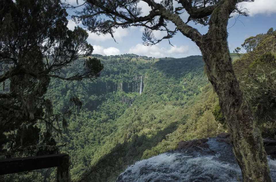 Gura Falls descending through a wooded gorge, framed by moss-covered trees and foreground water.
