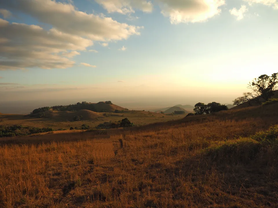 A narrow path through golden grass toward rounded hills dotted with trees in the Chyulu Hills.