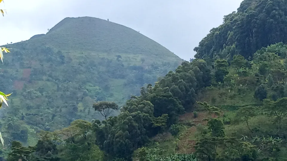 Forest and cultivated patches cover steep green slopes in Bududa on Mount Elgon.