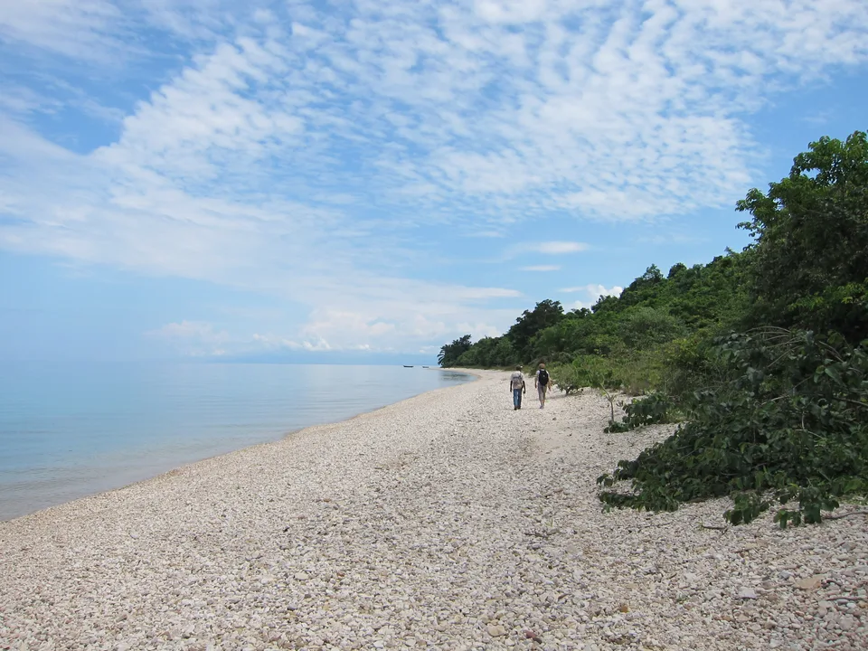 A pale pebbly beach beside Lake Tanganyika and forest at Gombe, with two people walking along the shore.