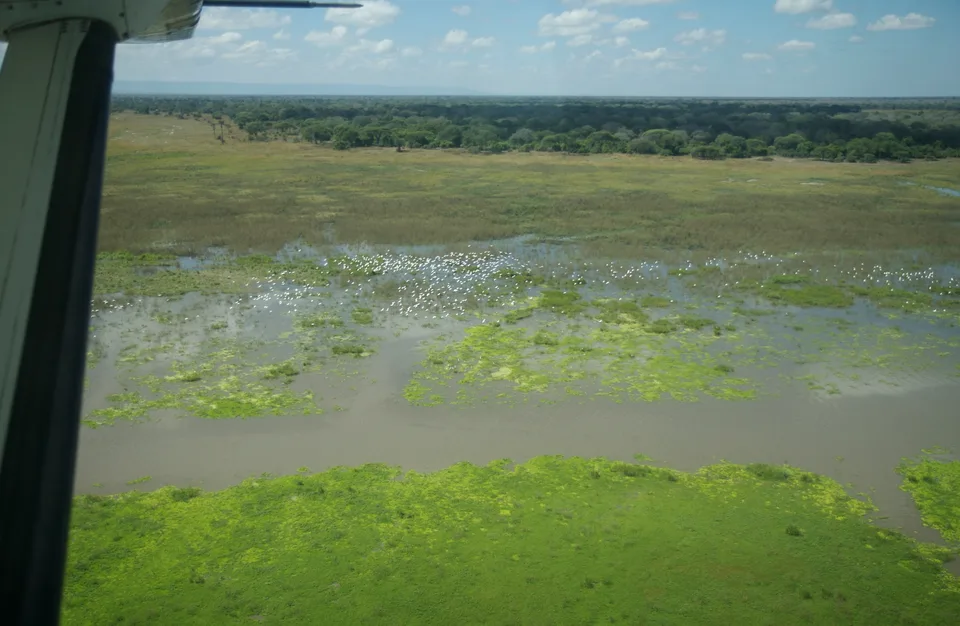 Wetland, green plains and forest at Katavi seen beneath the edge of a small aircraft.