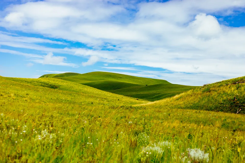 Bright green rolling Kitulo grassland beneath a broad blue sky with white clouds.