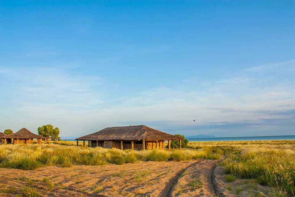 Thatched museum headquarters buildings beside dry grassland and Lake Turkana at Koobi Fora.