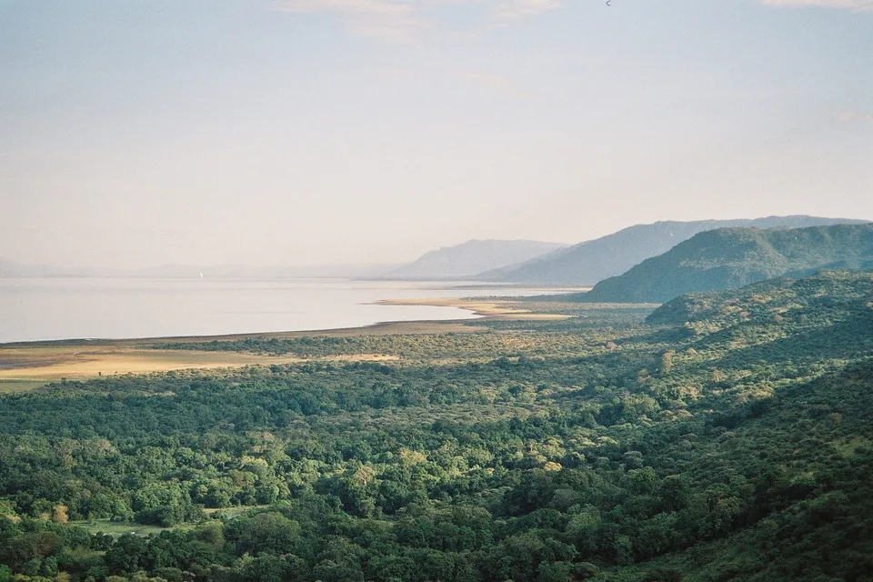 Lake Manyara beside an escarpment, with dense green forest in the foreground.