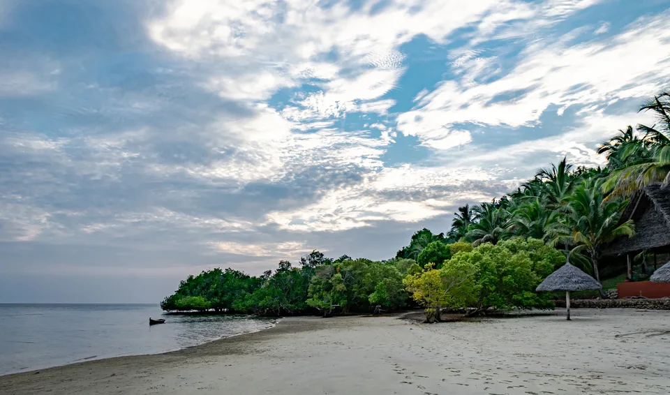 Mafia Island shoreline with mangroves, palms, a small boat and thatched shelters beside calm water.