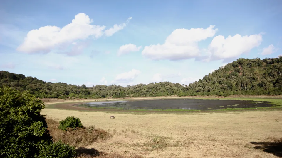 Shallow lake below forested crater slopes, with open grass along the near shore and clouds above.