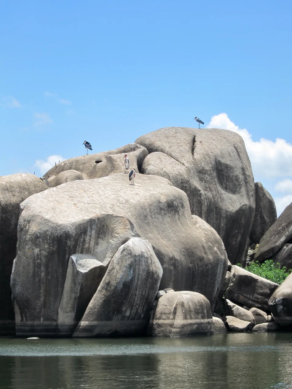 Marabou storks stand on large pale granite boulders above Lake Victoria at Mwanza.