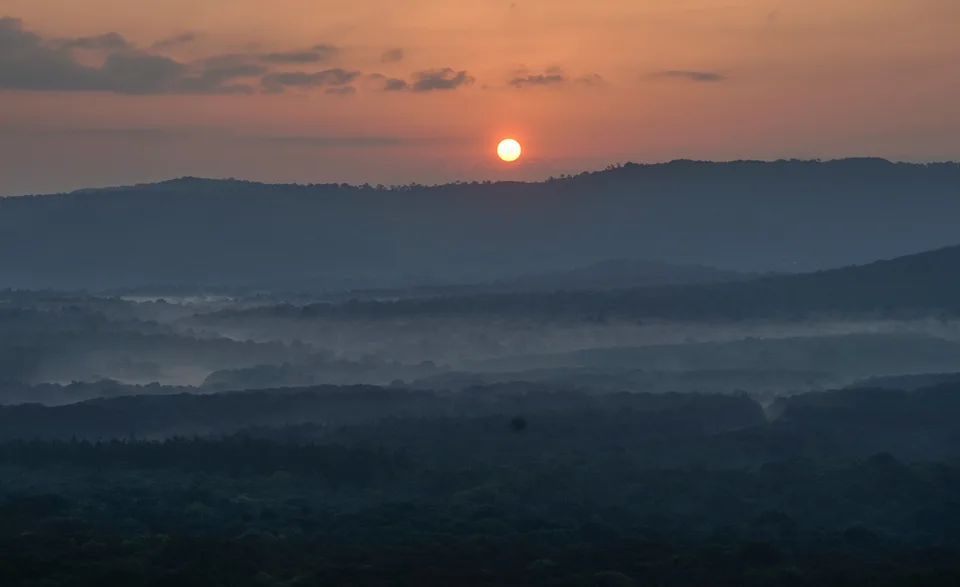 An orange sun rises above mist lying among wooded slopes in the Saiwa Swamp area.