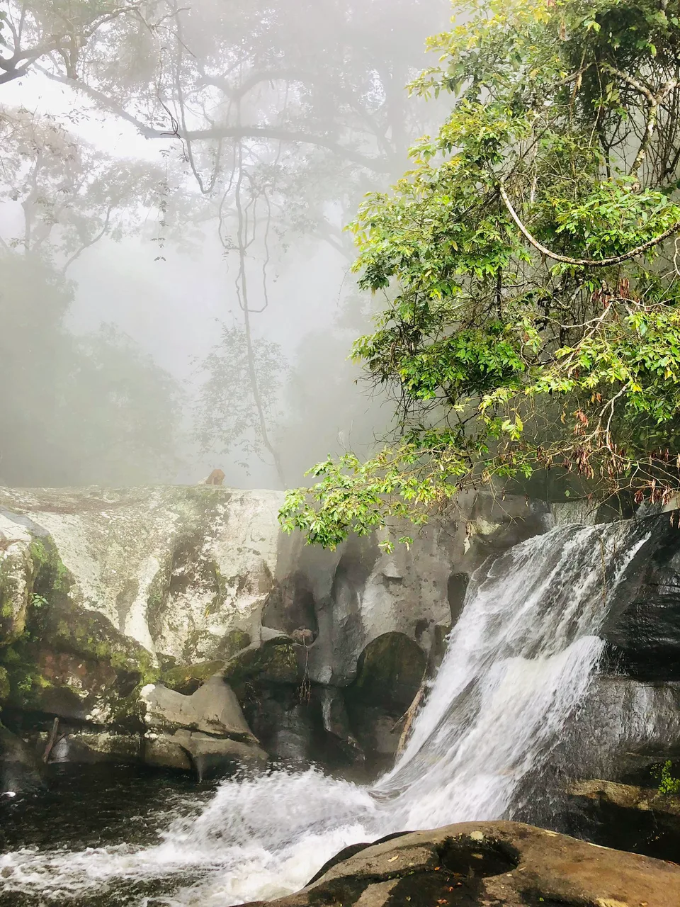 Water pours across rock beneath leafy branches at Sanje Waterfalls, with a pale misty forest backdrop.