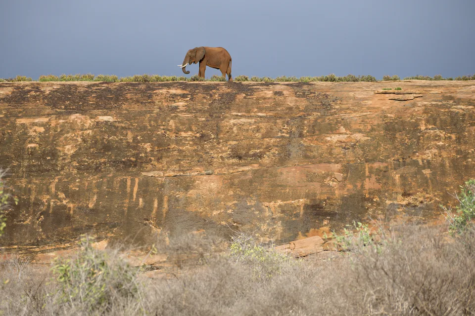 An elephant standing above a broad orange-brown rock face at Mudanda Rock in Tsavo East.